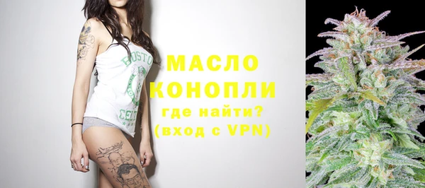 твердый Пересвет
