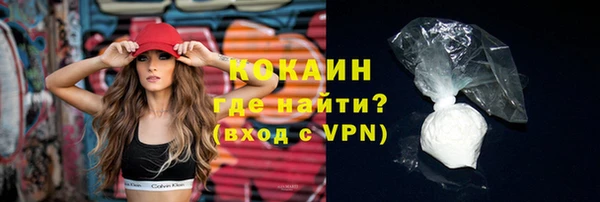 твердый Пересвет