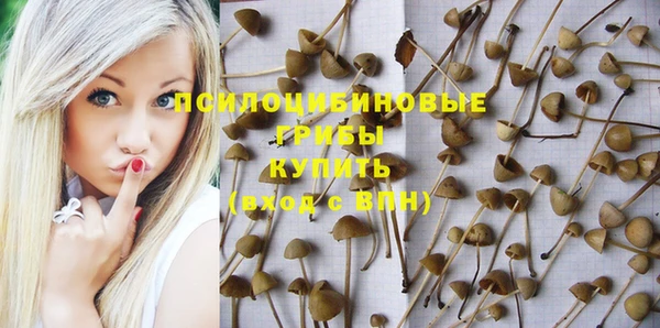 твердый Дегтярск