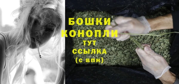 твердый Пересвет