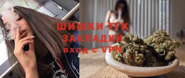 твердый Пересвет