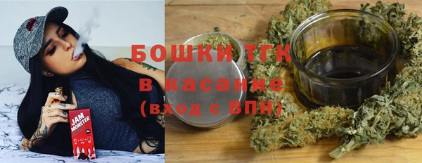 твердый Пересвет
