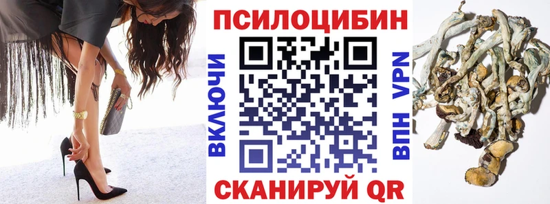 Галлюциногенные грибы Cubensis Семикаракорск