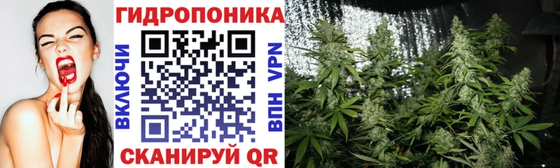 Бошки марихуана White Widow  Семикаракорск 